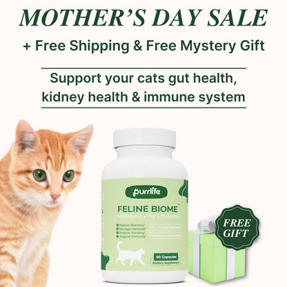 Feline Biome™ - Probiotic Cat Supplement