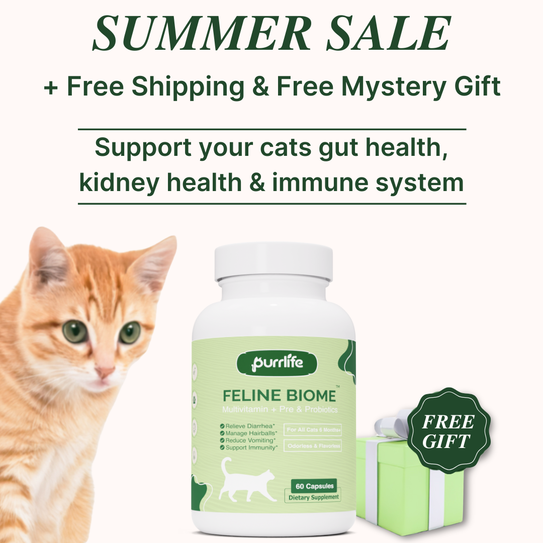 Feline Biome™ - Probiotic Cat Supplement